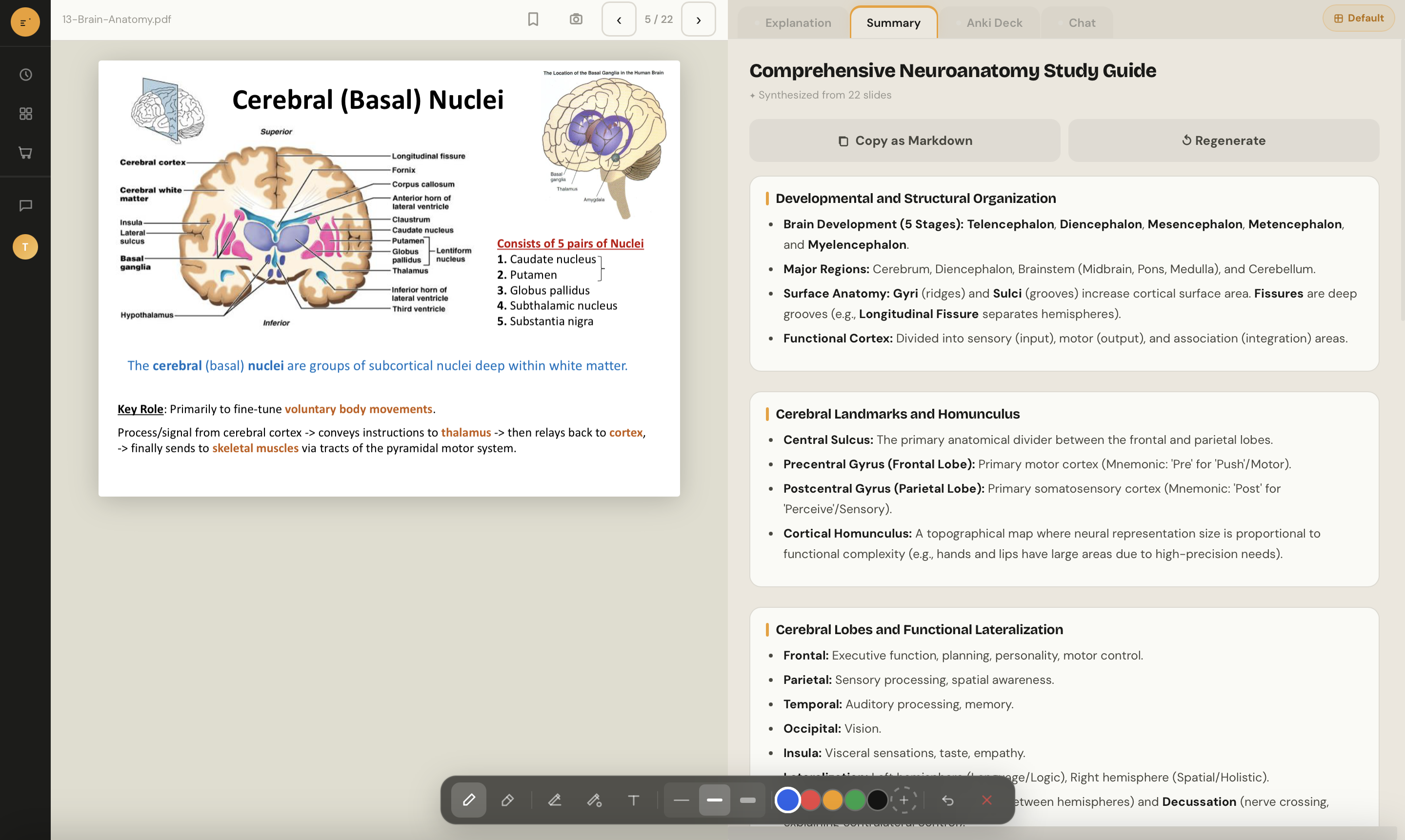 Full-deck consolidated study guide with sections and tables